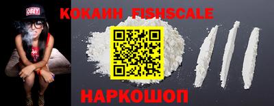 дмт Камышлов