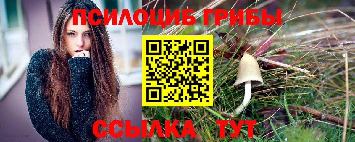 Псилоцибиновые грибы Cubensis  Галлюциногенные грибы мицелий  Красноярск  Вход с VPN 